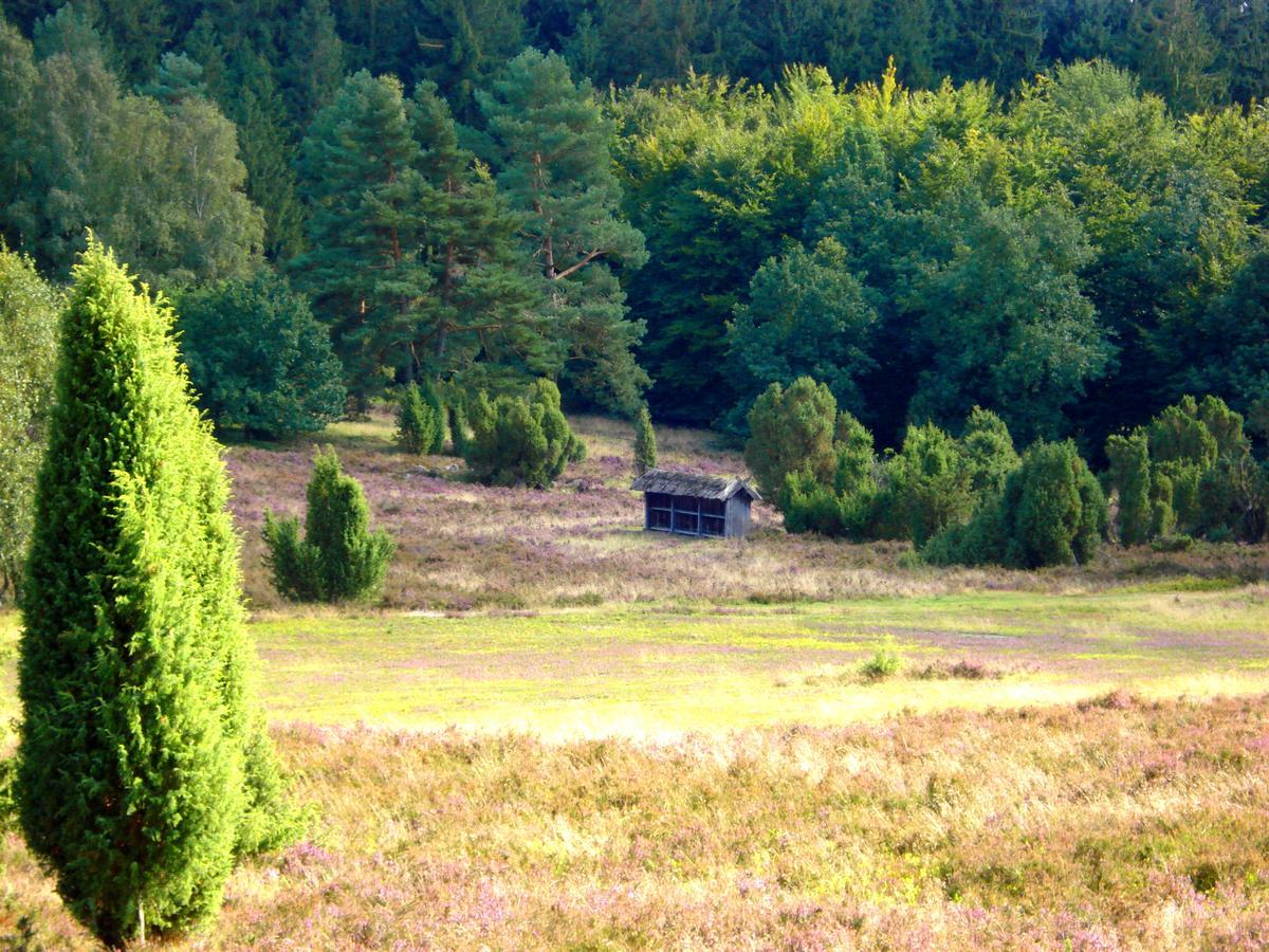 Landgasthaus Zum Naturschutzpark Bispingen Exterior photo